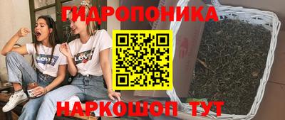 стафф Будённовск