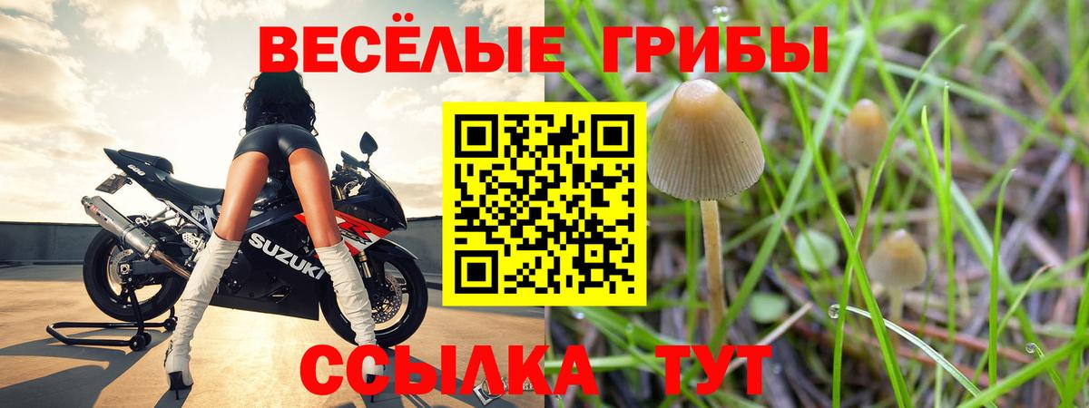 Георгиевск  Псилоцибиновые грибы Psilocybine cubensis  закладка  Галлюциногенные грибы Psilocybe  Вход с VPN 